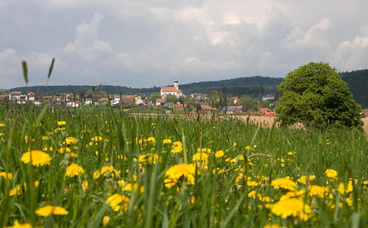 Blockhaus Stamsried Villa Buitenkant foto