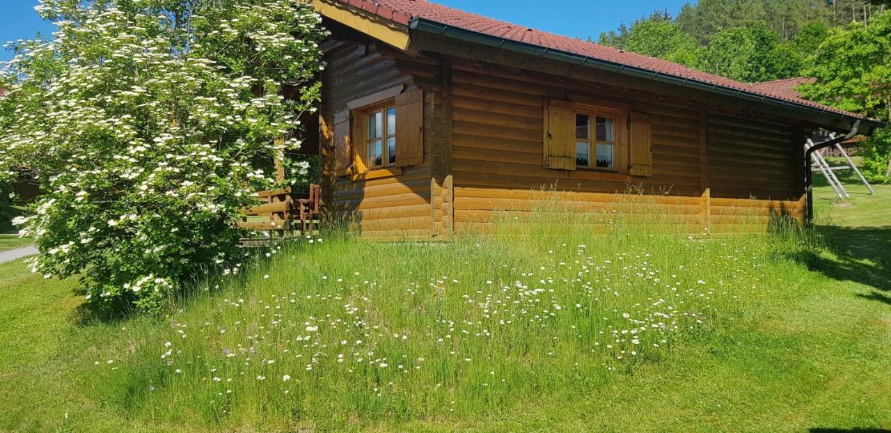 Blockhaus Stamsried Villa Buitenkant foto